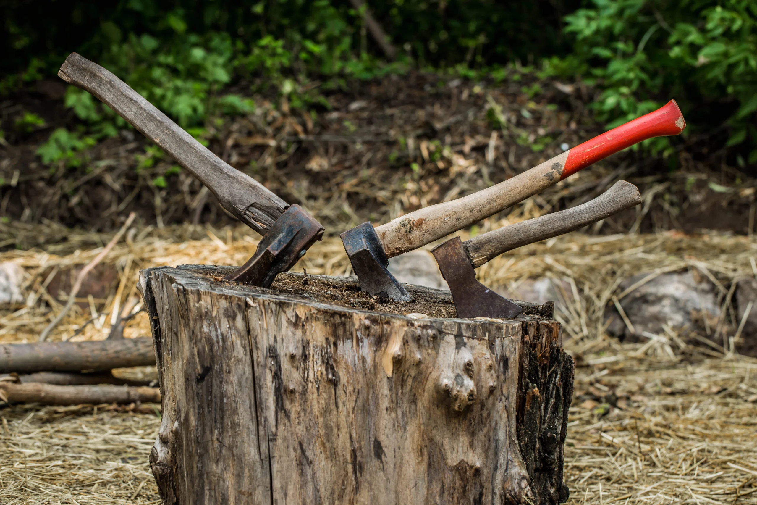 before-and-after-img