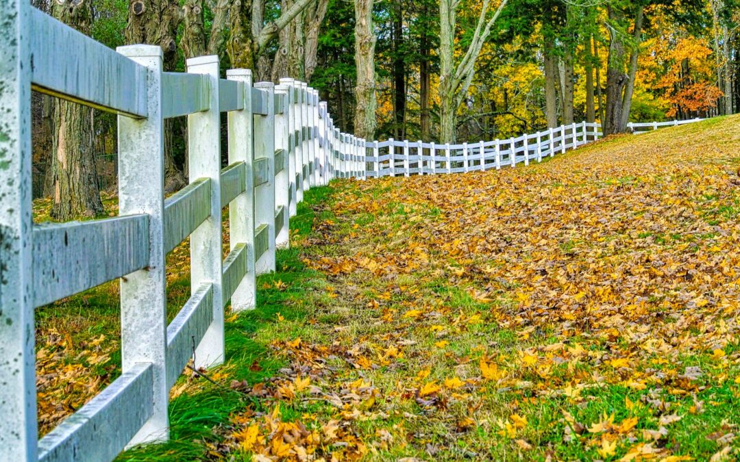 Solutions For Trees Growing Into Fences