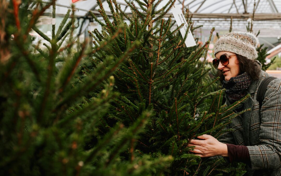 Holiday Decorations That Harm Trees
